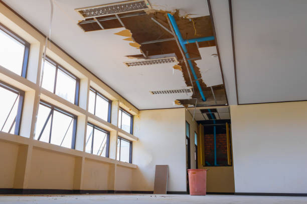 Best Fire Damage Restoration  in Norco, LA