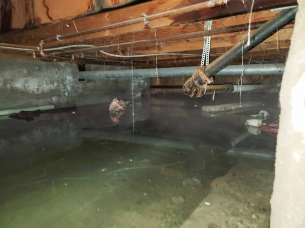 Professional Water damage restoration in Norco, LA