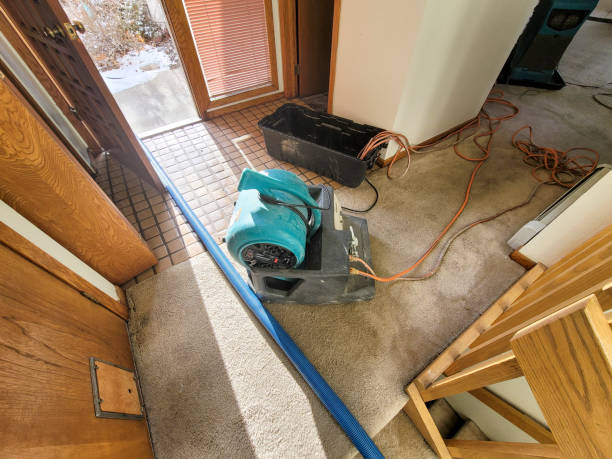 Best Basement water damage restoration  in Norco, LA