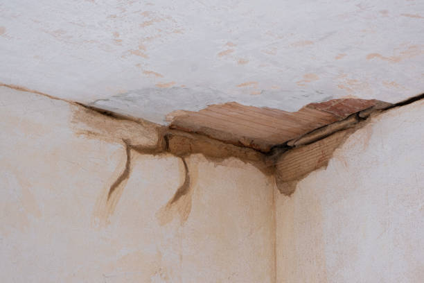 Best Water damage restoration near me  in Norco, LA