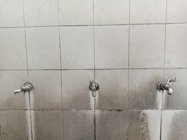 Best 24/7 water damage repair  in Norco, LA