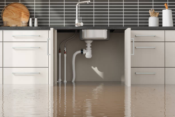 Best Sewage cleanup and water damage restoration  in Norco, LA